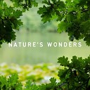 Nature Field Recordings - Celestial River Noise