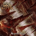Glacial Coffin - Between the Hammer and the Anvil