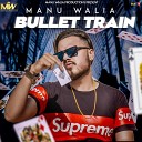 Manu Walia - Bullet Train
