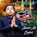 Ameer Ali Qadri - Jaanam Fida E Ya Hussain