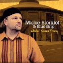 Micke Bjorklof Blue Strip - I Fell Down from the Tree When I Saw Robert Johnson Pass Me…