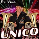 El Unico Del Sur Raymundo Perez y Soto Ignacio M… - Homenaje a Chalino Sanchez Nieves de Enero Florita del Alma Prenda del Alma En…