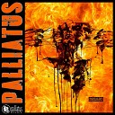 PALLIATUS - Время вышло