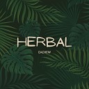 Eachew - Herbal Radio Edit