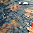 Шико - Листья на воде