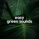 Sensitive ASMR - Easy Green Sounds Pt 13