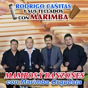 Rodrigo Ca itas y sus Teclados con Marimba - Pachuco Bailar n En Vivo