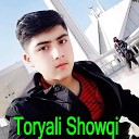 Toryali Showqi - Law Dey Da Lawango Yara Za Mush Watan Ki