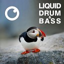 Dreazz - Liquid Drum Bass Sessions 50