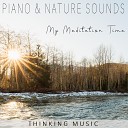 Thinking Music - A Quiet Mind to Meditation