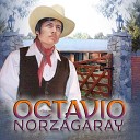 Octavio Norzagaray - No Hagas Llorar a Esa Mujer