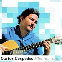 Carlos C spedes - Mientras tanto