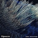 Gipnozer - Bass Signal