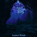 The Mystic Forest - The Path Of Silence