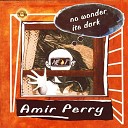 Amir Perry - No Wonder It s Dark