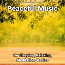 Relaxing Music by Sven Bencomo Yoga Relaxing… - Peaceful Music Pt 29