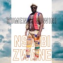 Nsimbi Zwane - Umuntu Uyavuswa