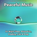 Relaxing Music by Darius Alire Yoga Relaxing… - Peaceful Music Pt 5
