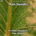 Rain Sounds Nature Sounds Rain Sounds by Elli… - Nature Sounds for Anxiety