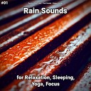Rain for Deep Sleep Rain Sounds Nature Sounds - Rain Sound to Relax Your Brain