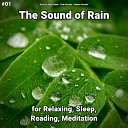 Rain for Deep Sleep Rain Sounds Nature Sounds - Rain Sound to Focus