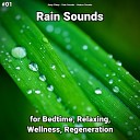 Deep Sleep Rain Sounds Nature Sounds - Pure Meditation for Sleep
