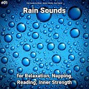 Rain Sounds No Music Nature Sounds Rain… - Chilling Brain Waves