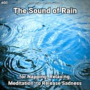 Rain for Deep Sleep Rain Sounds Nature Sounds - Mantra Meditation