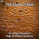 Rain Sounds Nature Sounds Rain Sounds by Vallis… - Revitalising Sleep Sound Effect