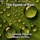 Rain Sounds Nature Sounds Rain Sounds by Maddison… - Rain Sounds for Anxiety