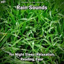 Calming Sounds Rain Sounds Nature Sounds - Spiritual Evolution