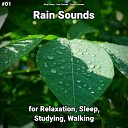Deep Sleep Rain Sounds Nature Sounds - Revitalising Rain Sound Effects
