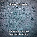 Rain Sounds Nature Sounds Rain Sounds by Vallis… - Asmr Rain Sounds for Inner Peace