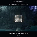 Dmitry Gulev feat Вестибулярные… - Ящик