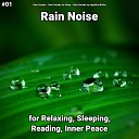 Rain Sounds Rain Sounds for Sleep Rain Sounds by Angelika… - Asmr for Reading