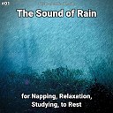 Deep Sleep Rain Sounds Nature Sounds - Sweet Path