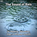 Deep Sleep Rain Sounds Nature Sounds - Spiritual Evolution