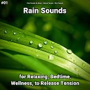 Rain Sounds No Music Nature Sounds Rain… - Nature Sounds for Anxiety
