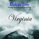 Birkin Tree Martin Hayes Dennis Cahill - The Fisherman s Lilt Birdman The Millhouse feat Dennis Cahill Martin…