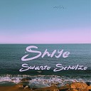 Swante Schulze - We Can Make It