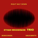 Ethan Winogrand Ethan Winogrand Trio feat Jacobo de Miguel Carlos… - Slow Poke