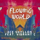 Ace Shyllon Vibrant C - Flowing World Flowstate Mix