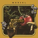 Morsel - Melodies and Lines