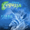 Grupo Pegasso Del Pollo Estevan - Tus Sabores