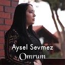 Aysel Sevmez - Omrum