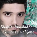 Shahin Jamshidpour feat Fariborz Khatami - Sarbaze 6 Mahe