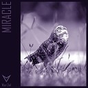 Wan Owl - Miracle Radio Mix