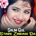 Salim Gul - Baran De
