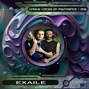 Exaile - Radio Edit Bizzare Contact Remix