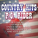 P G Rider - Highway 40 Blues